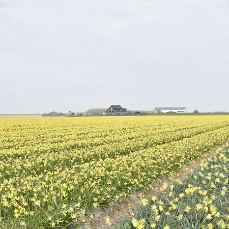 In Holland Near Beaches Prázdninový dům