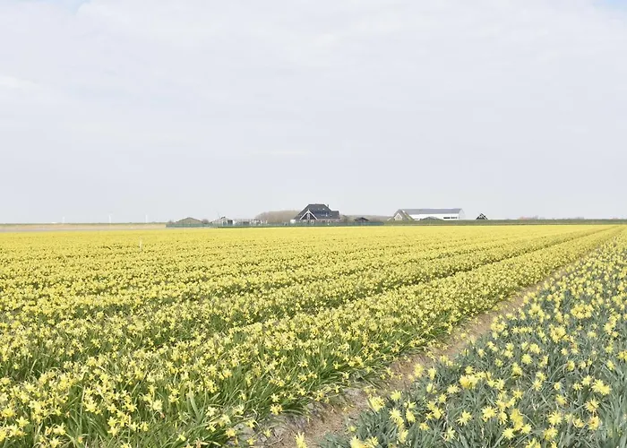 In Holland Near Beaches Vakantiehuis