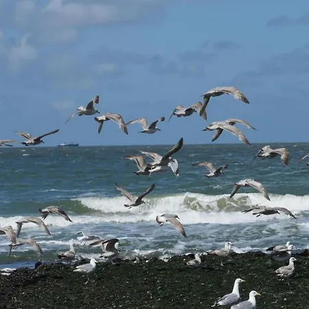 In Holland Near Beaches Callantsoog